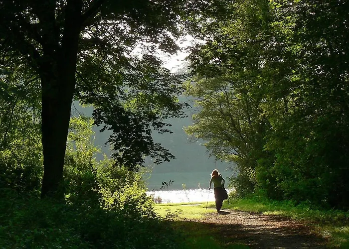 Motor Yacht Amstelle 암스테르담